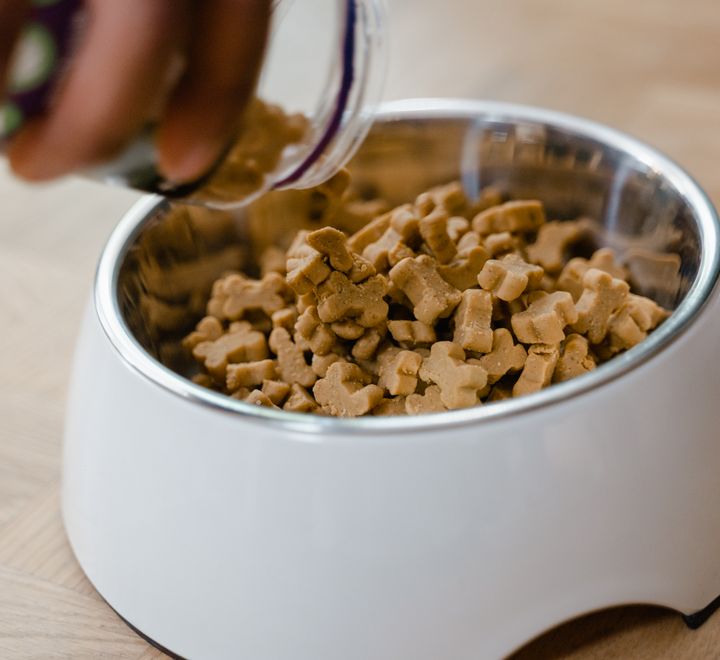 Dog Food
