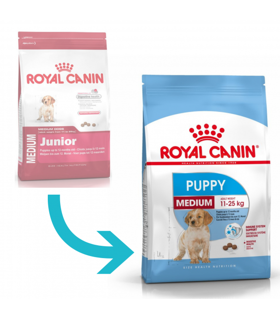 royal canin medium puppy food