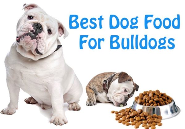 Royal Canin® Medium Puppy dry dog food2