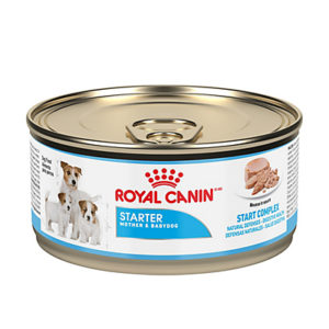 Royal Canin® STARTER MOUSSE canned puppy food