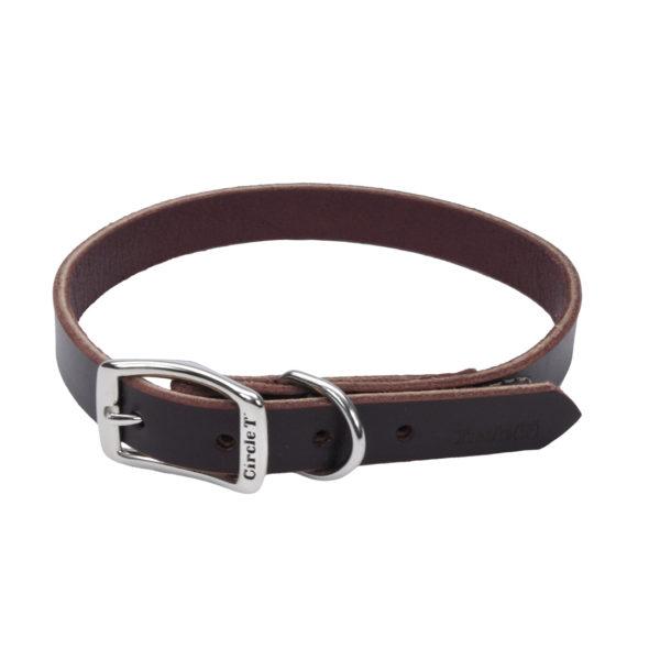 Circle T® Latigo Leather Town Dog Collar