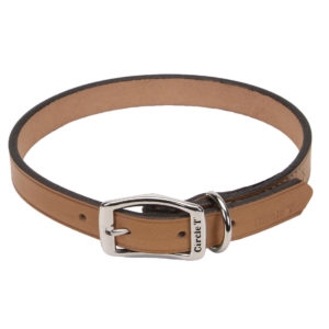 Circle T® Oak Tanned Leather Town Dog Collar