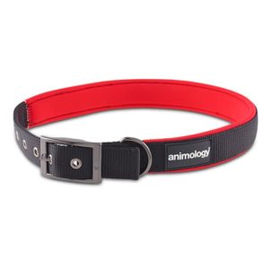 Animology-Dog-Collar-Black-and-Red