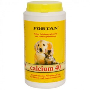 fortan calcium 40