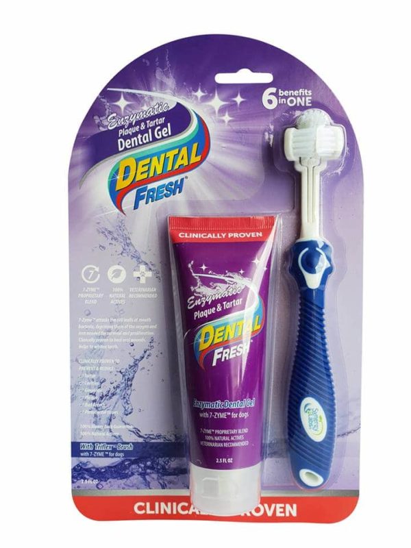 dental fresh enzymatic gel toothbrush