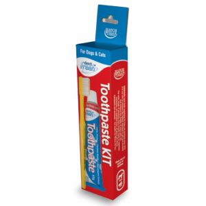 Dentifresh Toothpaste & Toothbrush Kit