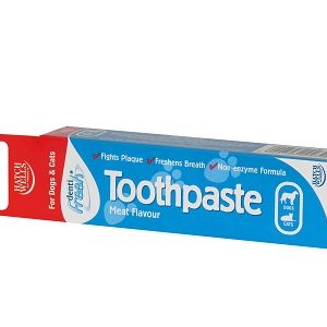 Dentifresh Toothpaste display
