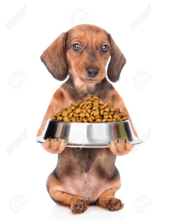 ROYAL CANIN® DACHSHUND PUPPY DRY DOG FOOD4