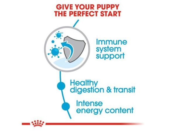ROYAL CANIN®X-small Puppy DRY FOOD1