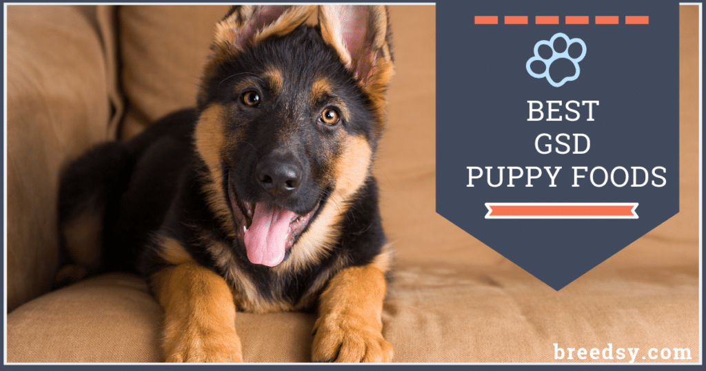 Royal Canin® German Shepherd Puppy Dry Dog Food ...