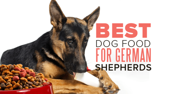 Royal Canin® German shepherd adult dry dog food1