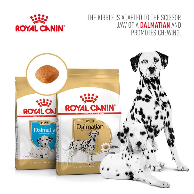 ROYAL CANIN® DALMATIAN ADULT DRY DOG FOOD