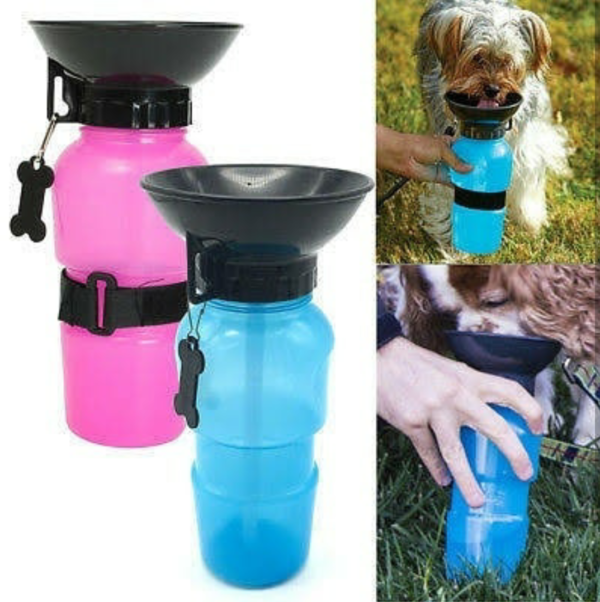 Pet outdoor water bottle