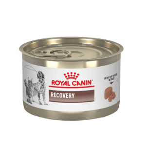 ROYAL CANIN RECOVERY FELINE/CANINE CAN FOOD