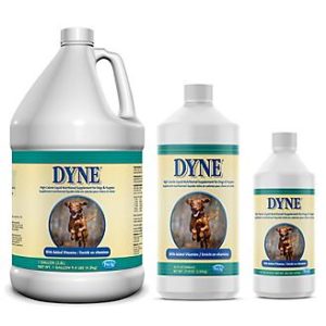Dyne High Calorie Liquid Supplement