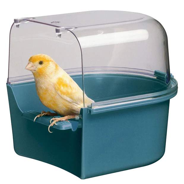 TREVI 4405 BIRD BATH: Canary and exotic bird bath